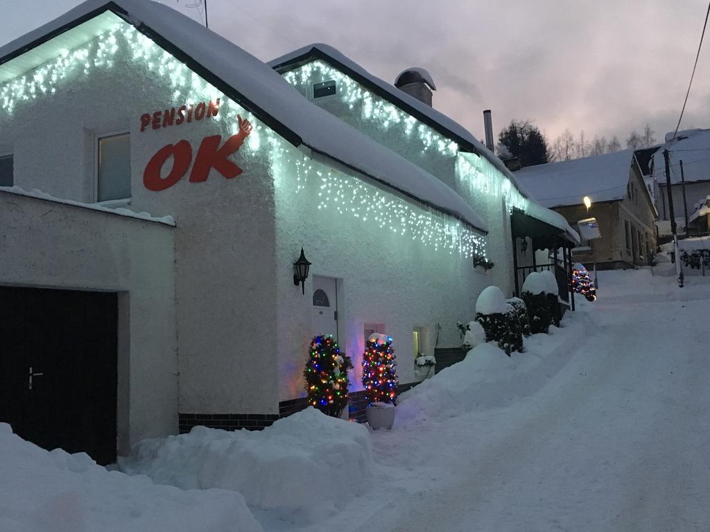 Penzion Ok Svoboda nad Úpou المظهر الخارجي الصورة